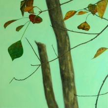 林影悅閒身 60x60cm 2011-大美無言藝術空間